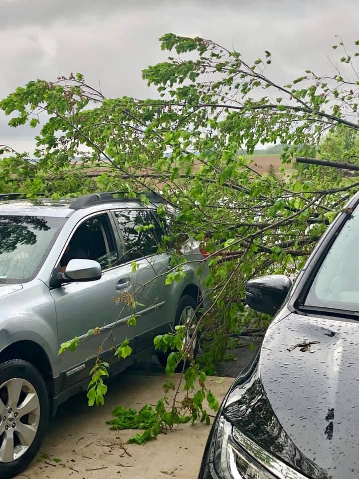 storm damage